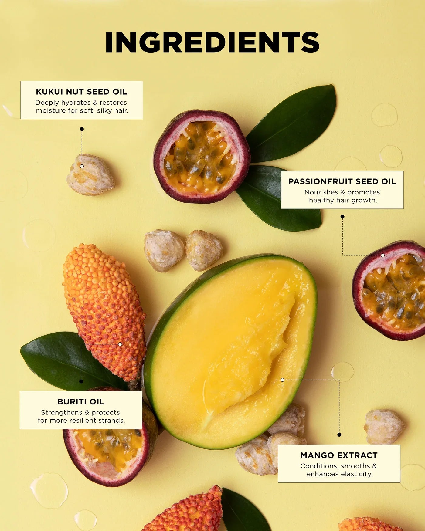 BOUNCE.ME No Strings Attached Kit