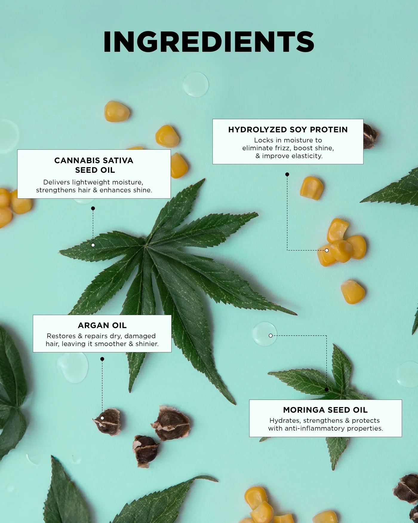 GLOSS.ME Dream Mane Hydra & Shine Kit